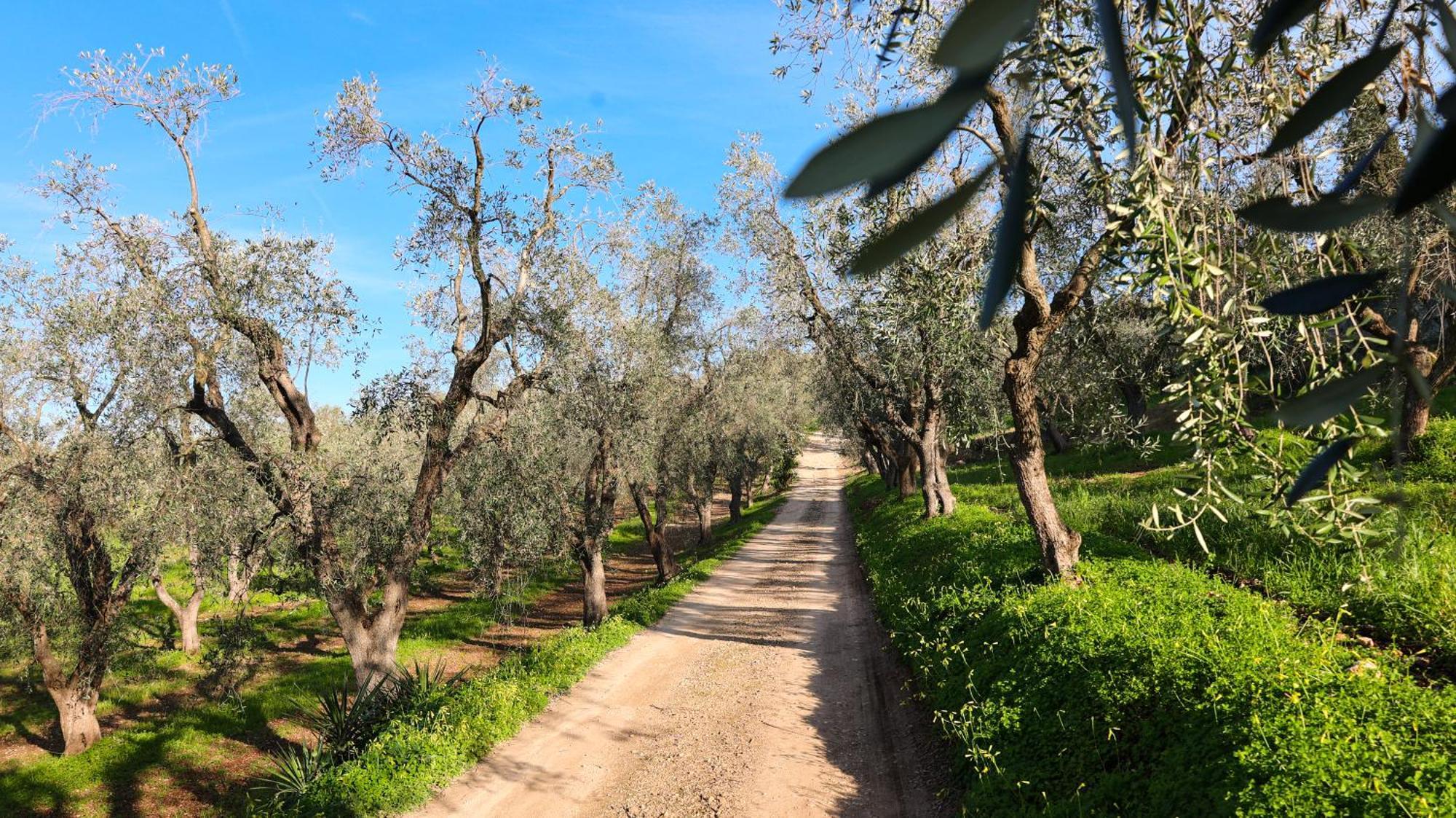 I Frangiventi Bed and Breakfast Rodi Garganico Εξωτερικό φωτογραφία