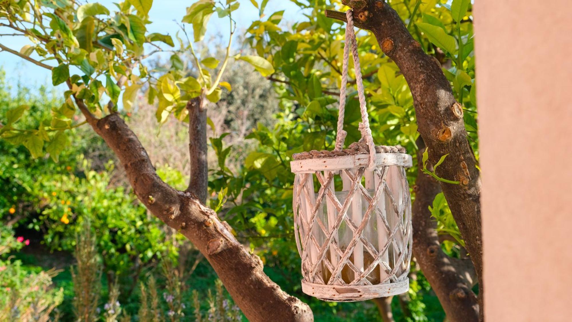I Frangiventi Bed and Breakfast Rodi Garganico Εξωτερικό φωτογραφία