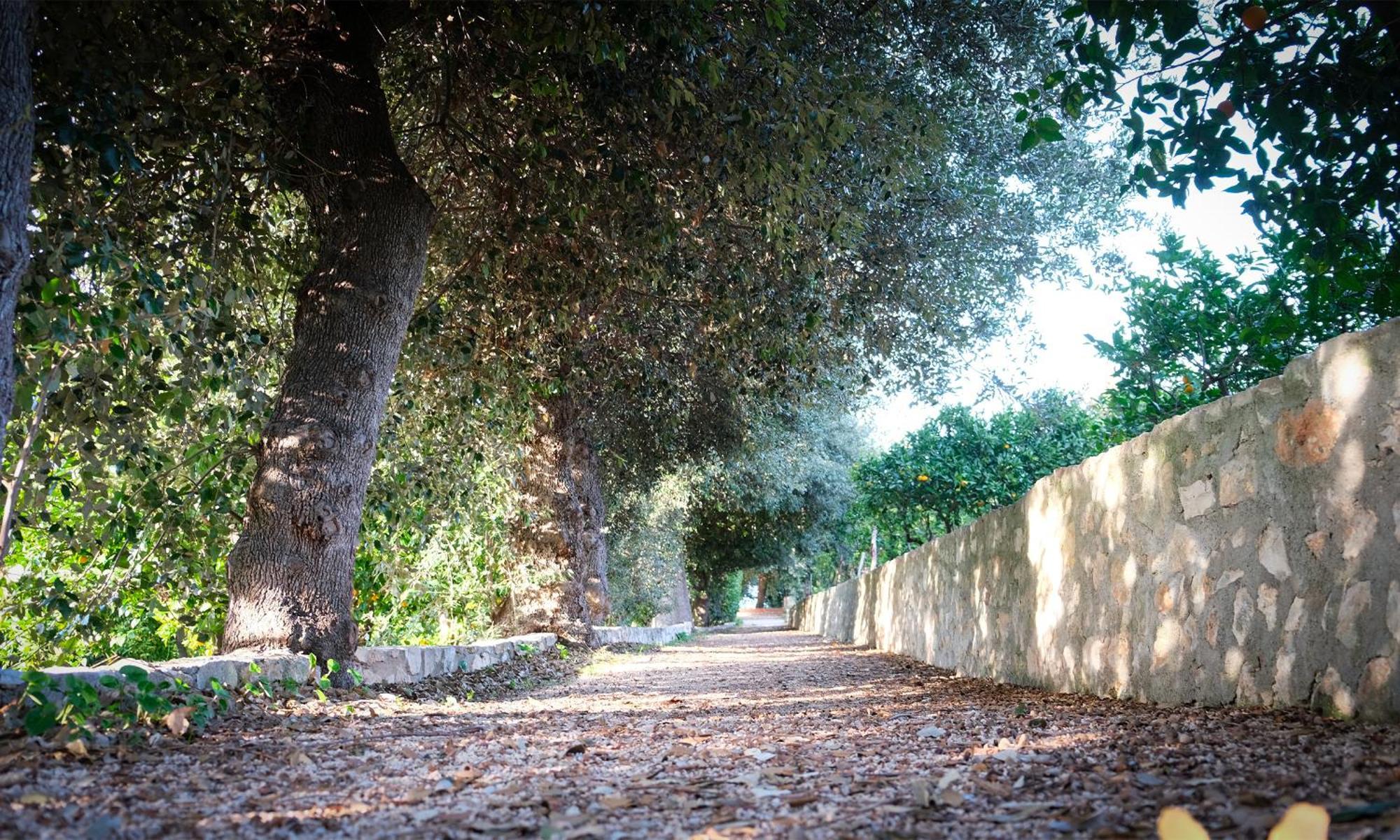 I Frangiventi Bed and Breakfast Rodi Garganico Εξωτερικό φωτογραφία